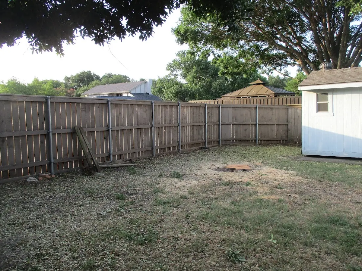 Cleared yard after professional tree removal in Hillsdale