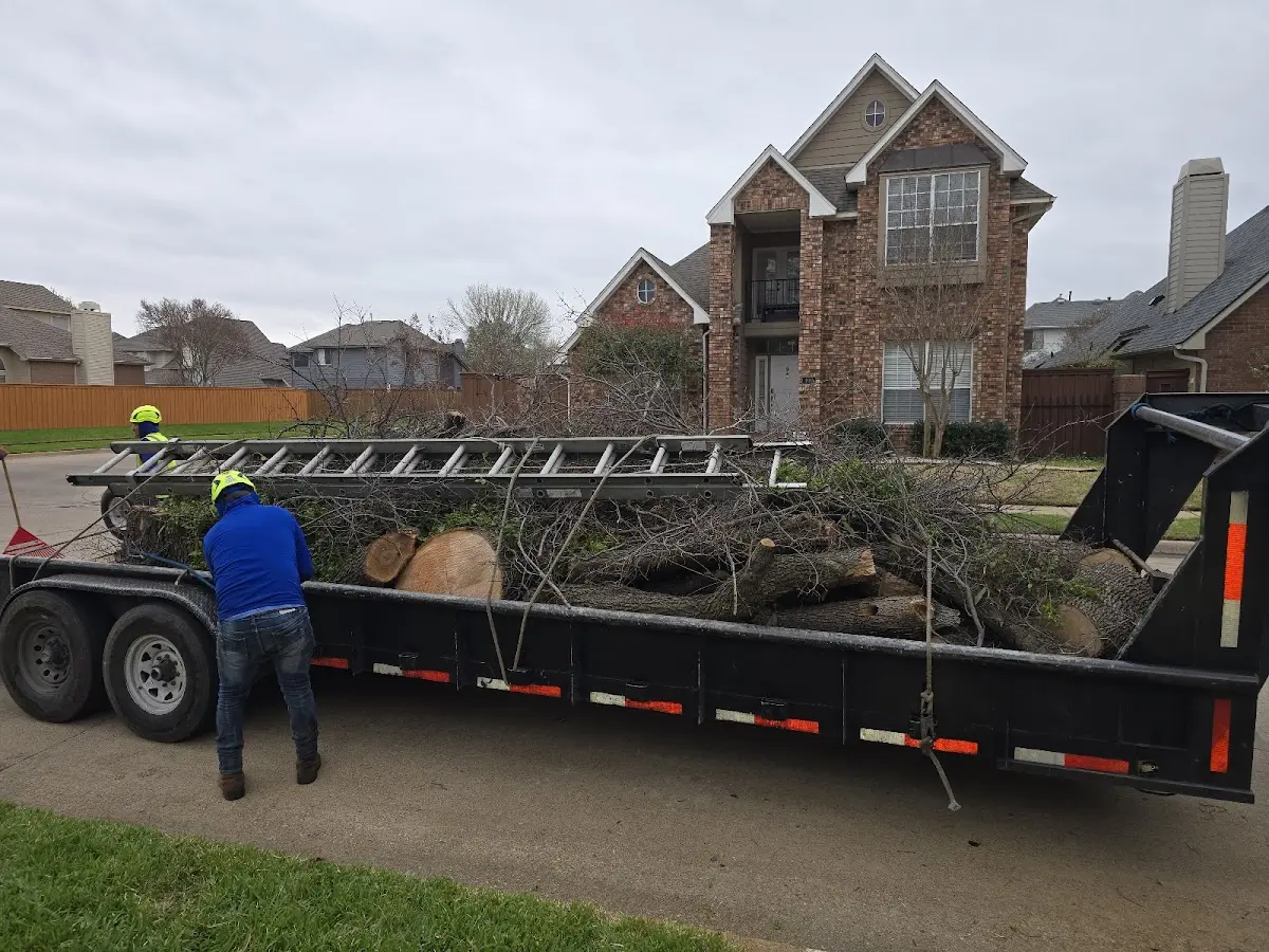 Expert Lot Clearing with proper safety equipment in Hillsdale